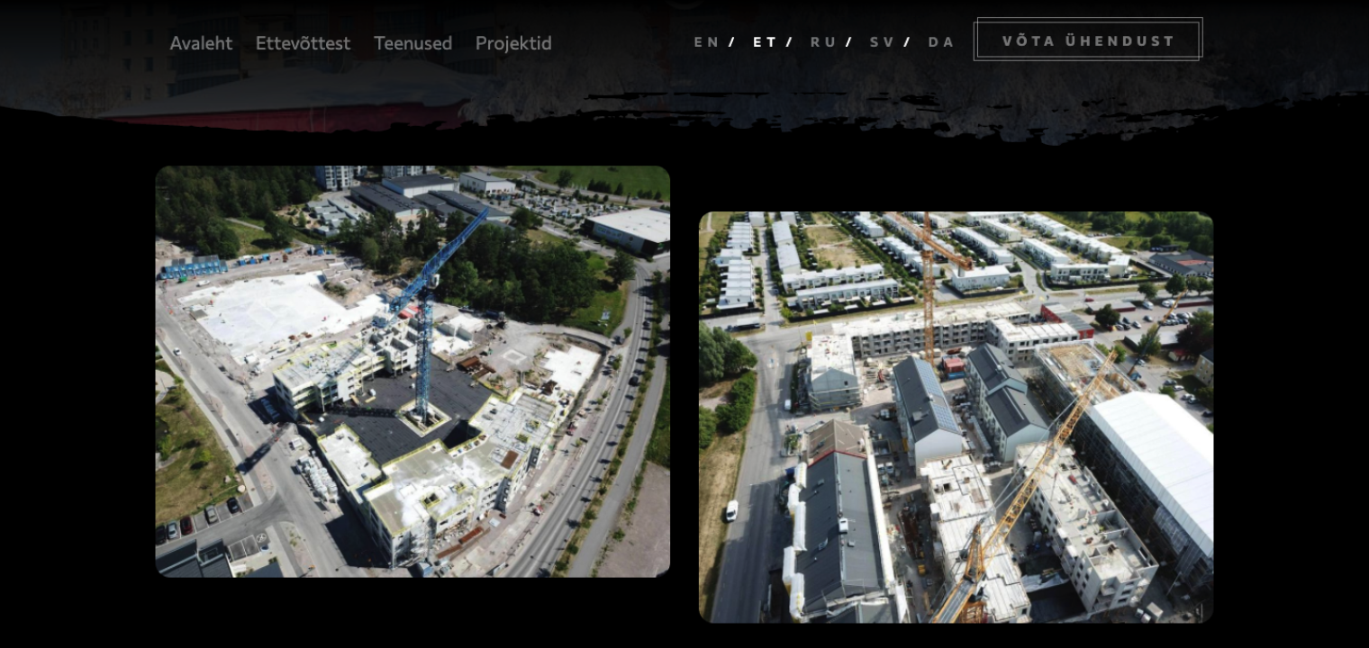 Grey Gecko screenshot #4