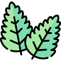 Freshmint icon