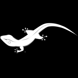 Grey Gecko icon