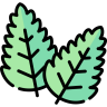 Freshmint icon